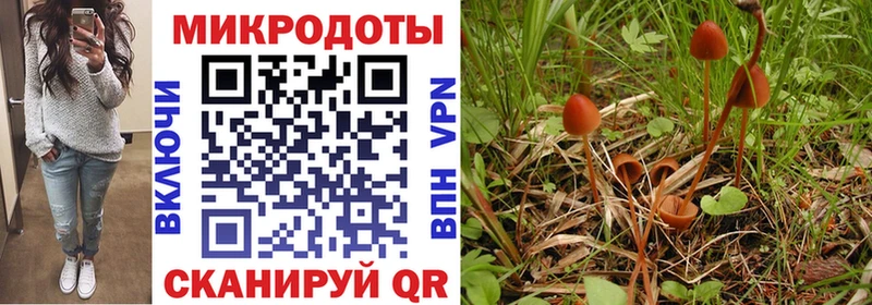 кракен вход Чусовой Псилоцибиновые грибы мицелий