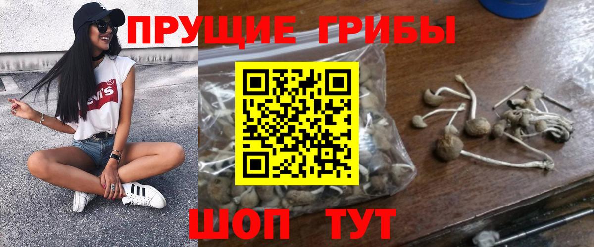 Галлюциногенные грибы мухоморы  Вход с VPN  хочу   Чусовой 