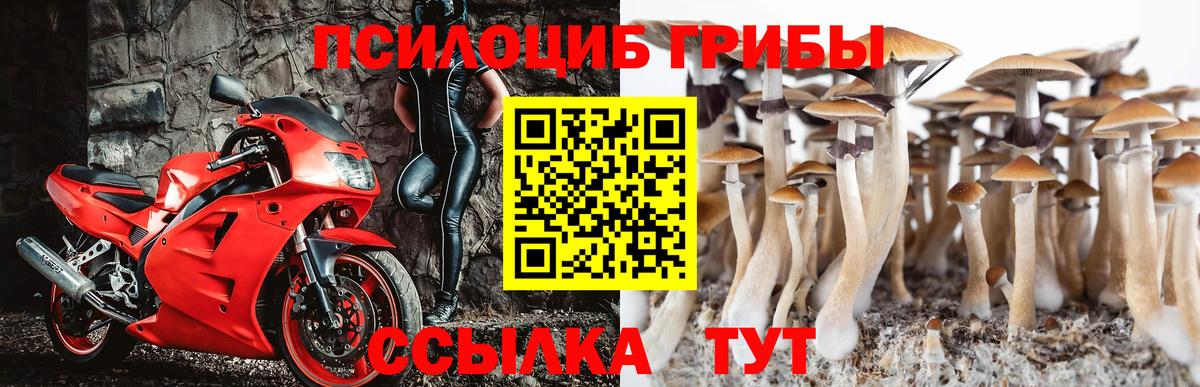 купить наркотик  Чусовой  Галлюциногенные грибы мухоморы 