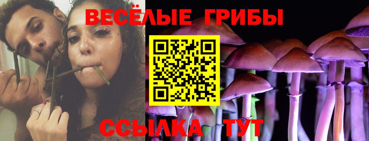 Псилоцибиновые грибы ЛСД Чусовой